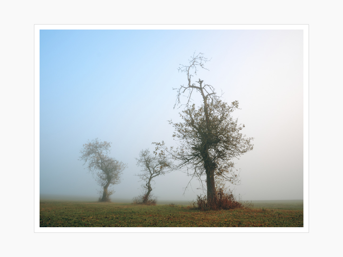 Max Schiefele Alle Bilder  DSF7804